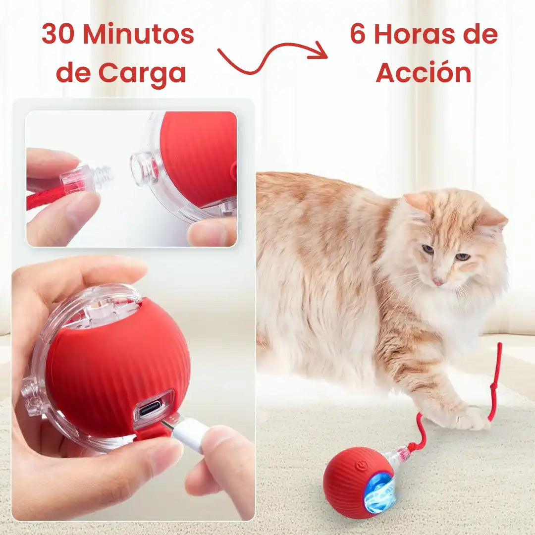 TheOclumi™ – Pelota Inteligente para Gatos