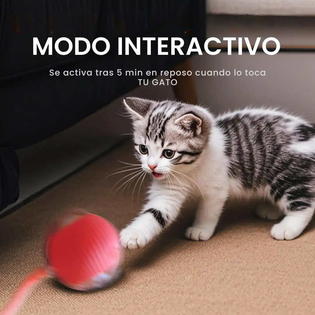 TheOclumi™ – Pelota Inteligente para Gatos