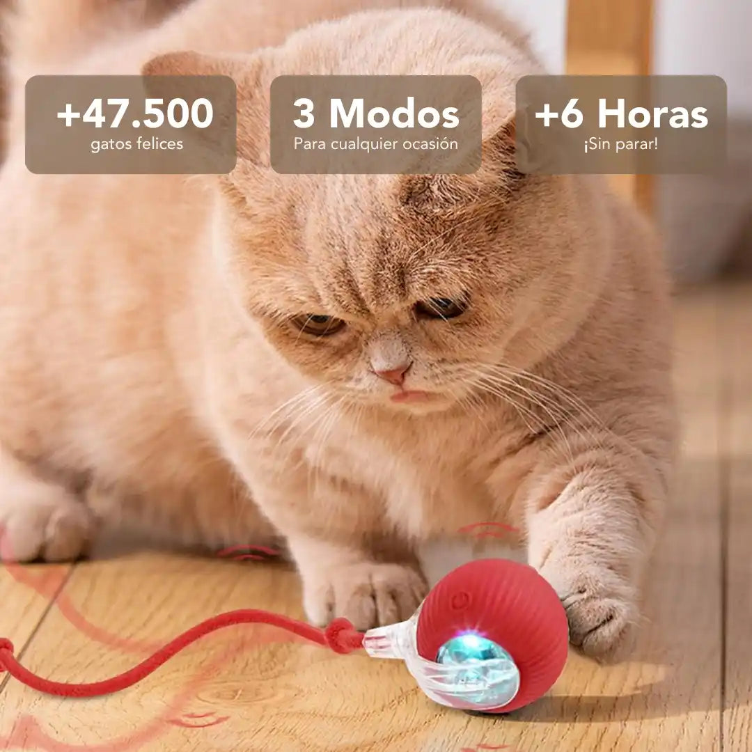 TheOclumi™ – Pelota Inteligente para Gatos
