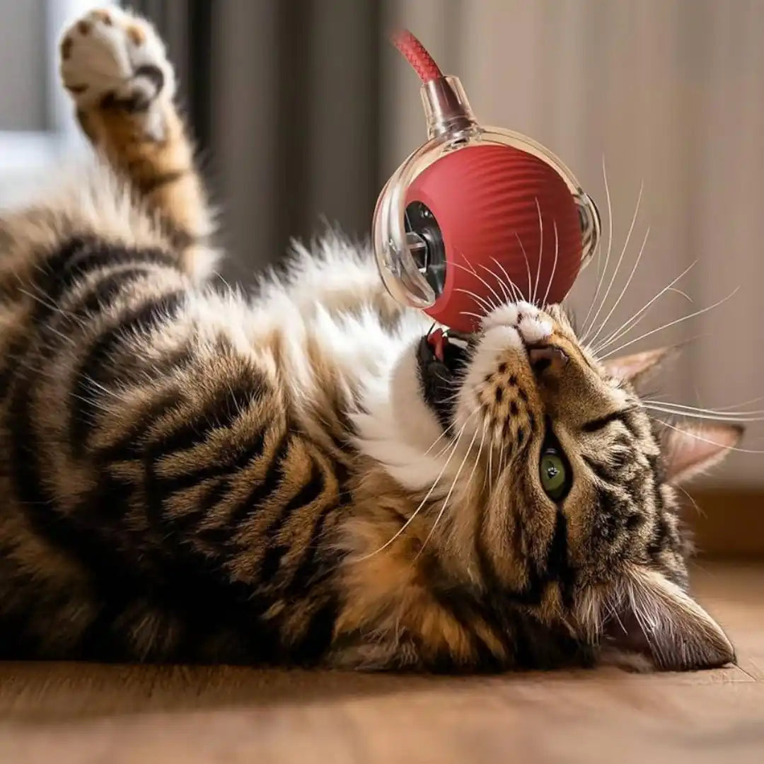 TheOclumi™ – Pelota Inteligente para Gatos