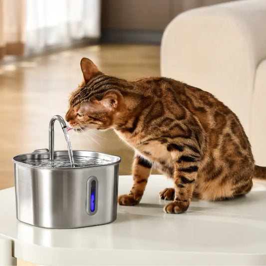 The Oclumi™ Fuente Sigilosa